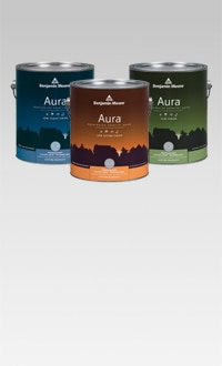 <h1>Une peinture sans COV d'une durabilité maximale et résistante au frottage, destinée aux projets commerciaux.</h1>POUR EN SAVOIR PLUS