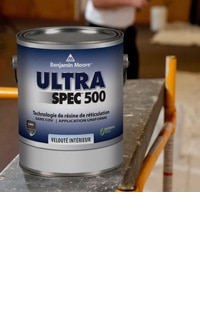 <h1>Une peinture sans COV d'une durabilité maximale et résistante au frottage, destinée aux projets commerciaux.</h1>POUR EN SAVOIR PLUS