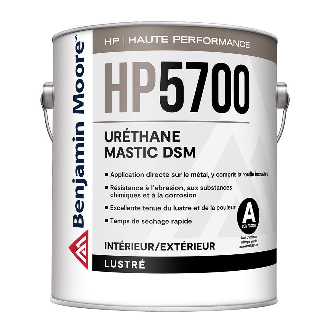 Uréthane mastic D.S.M. haute performance - Fini lustré