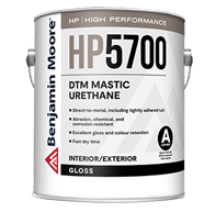 DTM Mastic Urethane - Gloss