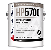 DTM Mastic Urethane - Gloss