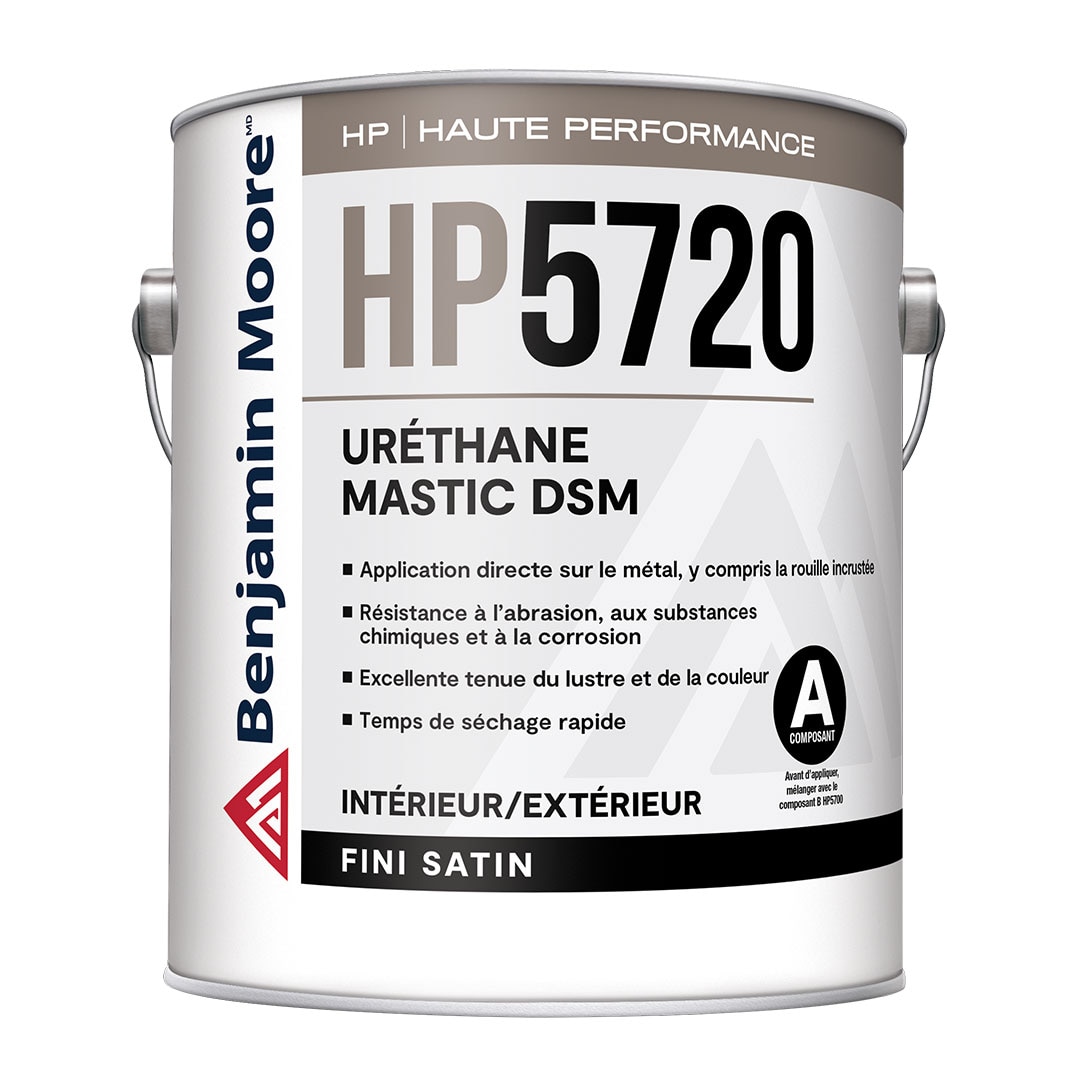 Uréthane mastic D.S.M. haute performance - Fini satin