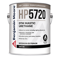 DTM Mastic Urethane - Satin