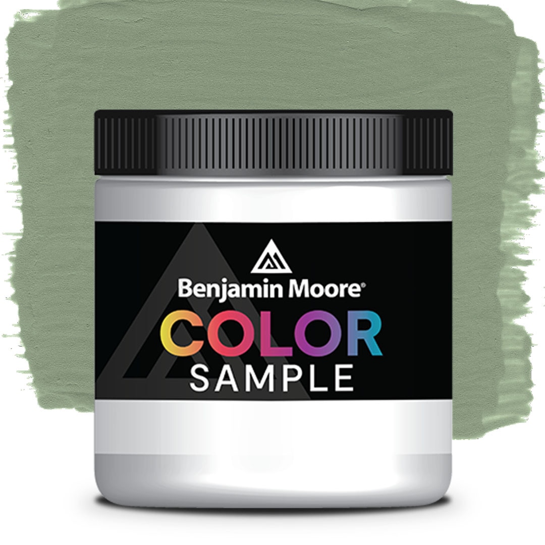 COLOR SAMPLE 453