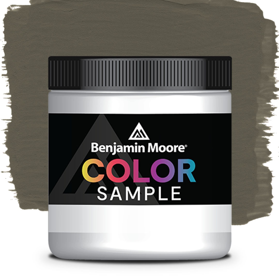 COLOR SAMPLE 1491