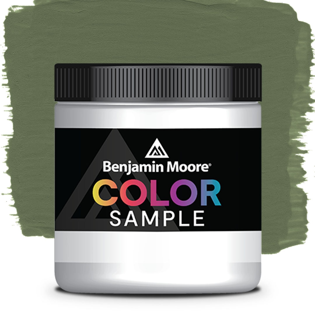 COLOR SAMPLE 441