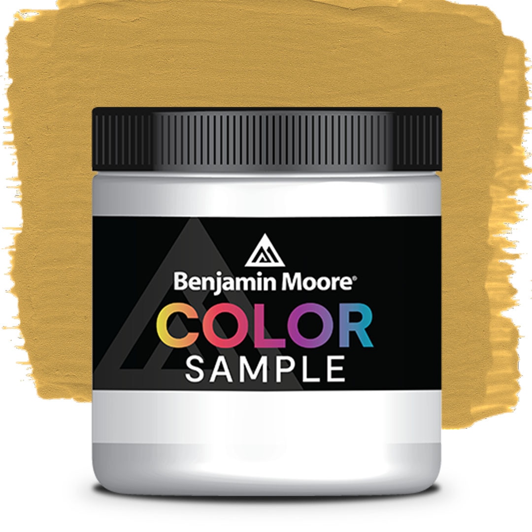 COLOR SAMPLE 217