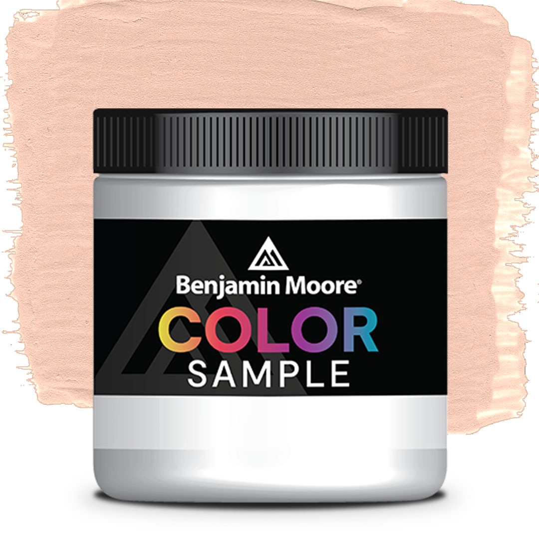 COLOR SAMPLE 1198