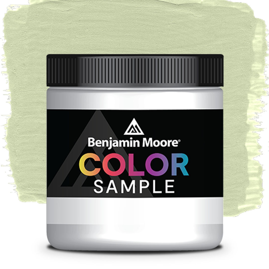 COLOR SAMPLE 479