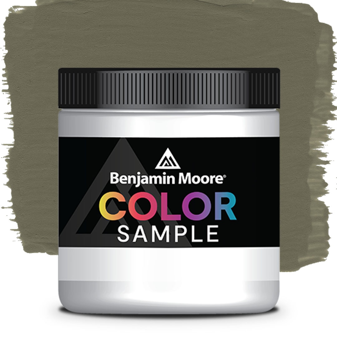 COLOR SAMPLE 2141-30