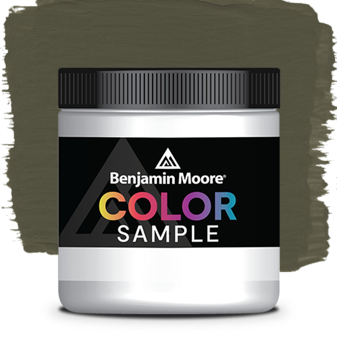 COLOR SAMPLE 2141-10