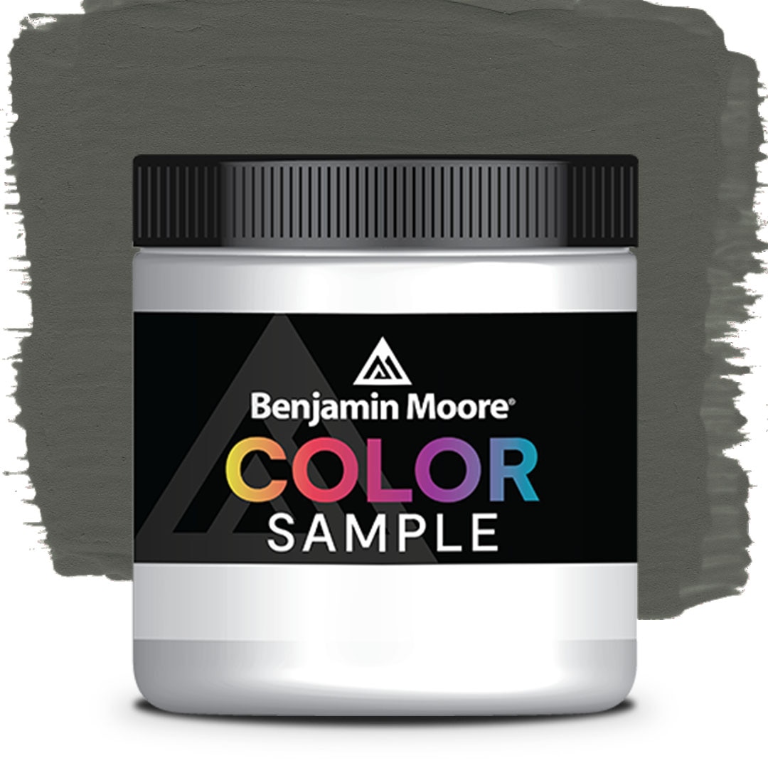 COLOR SAMPLE 1484