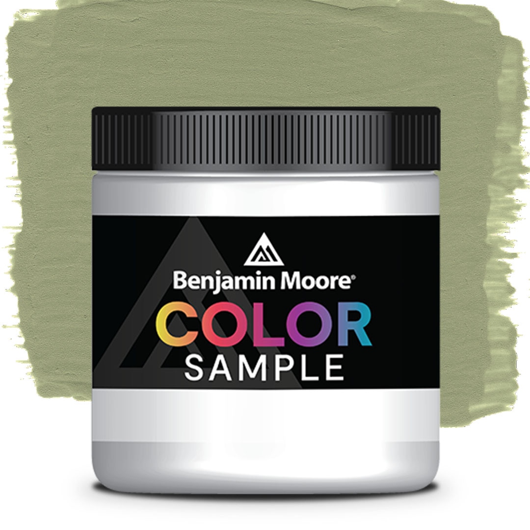 COLOR SAMPLE AF-445