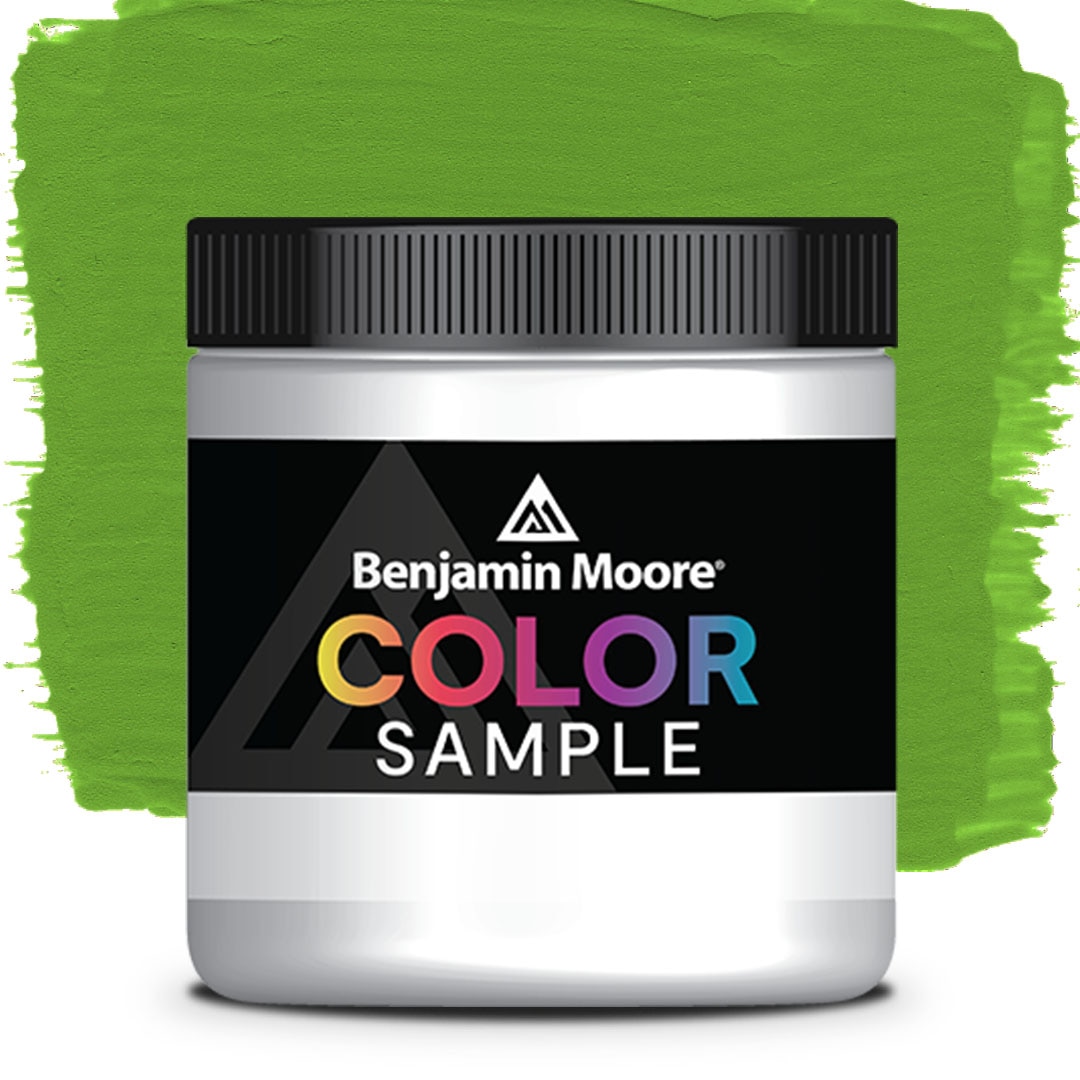 COLOR SAMPLE 2029-20