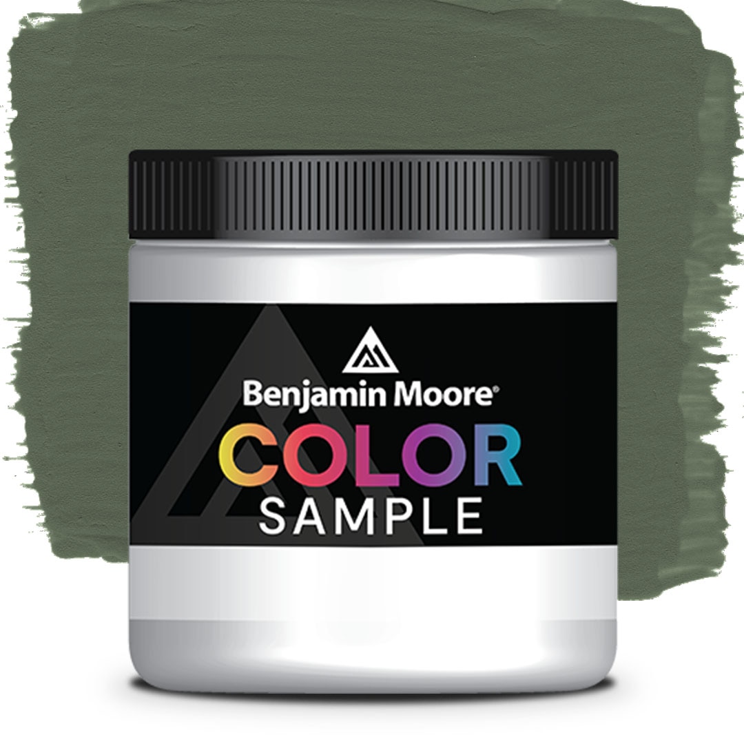 COLOR SAMPLE 469