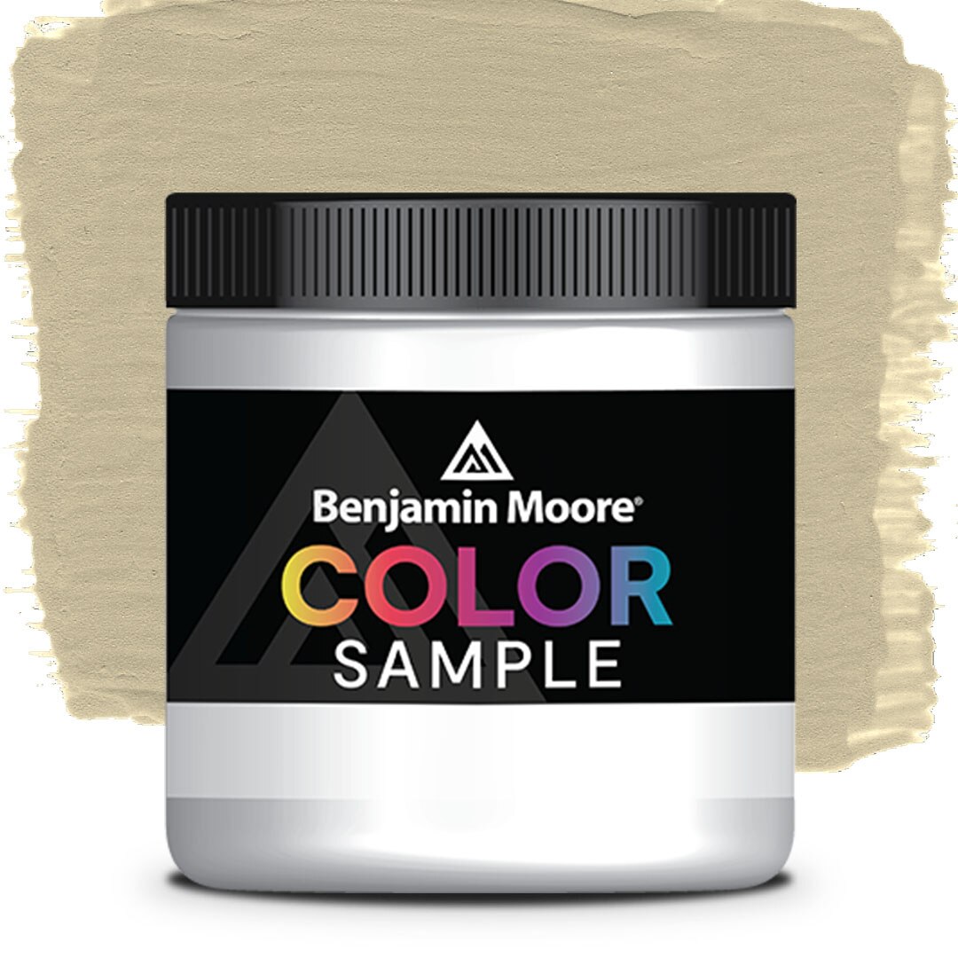 Benjamin moore baffin island 243 hot sale