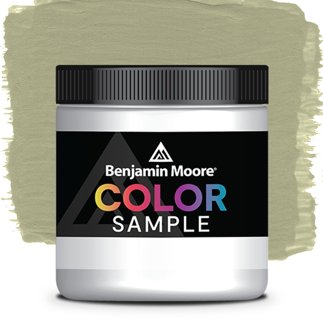 COLOR SAMPLE CW-480