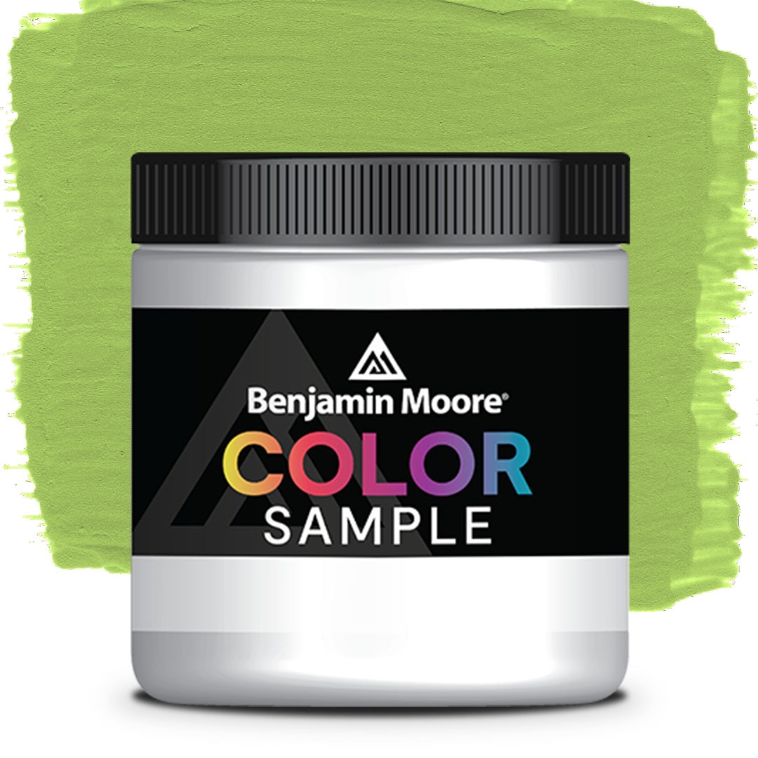 COLOR SAMPLE 413