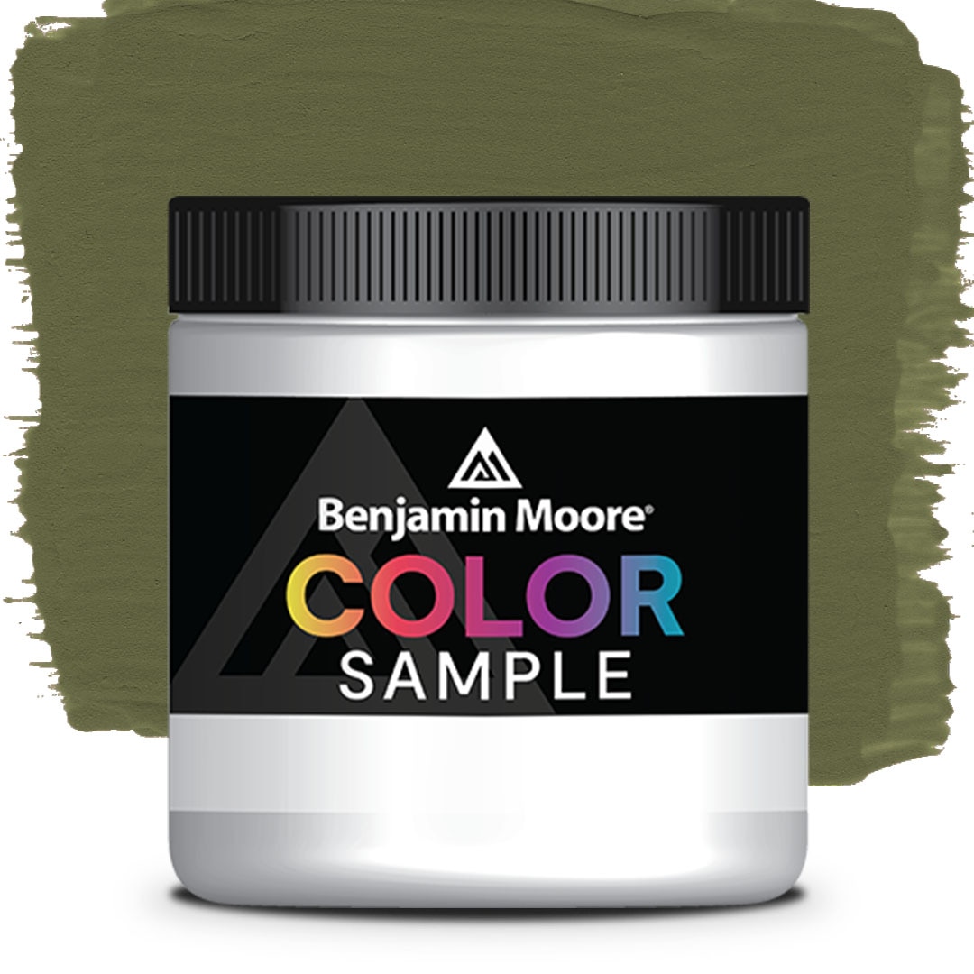 COLOR SAMPLE CC-666