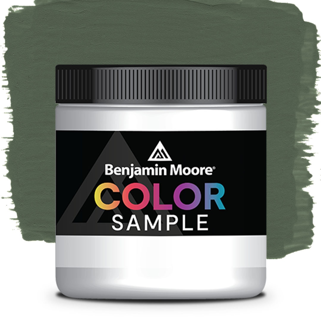 COLOR SAMPLE AF-480