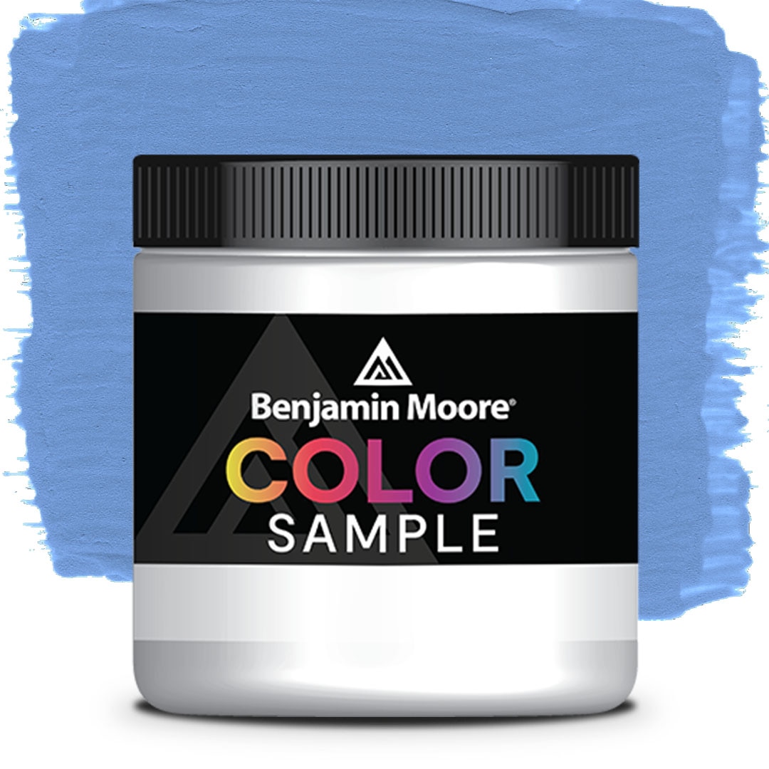 COLOR SAMPLE 817