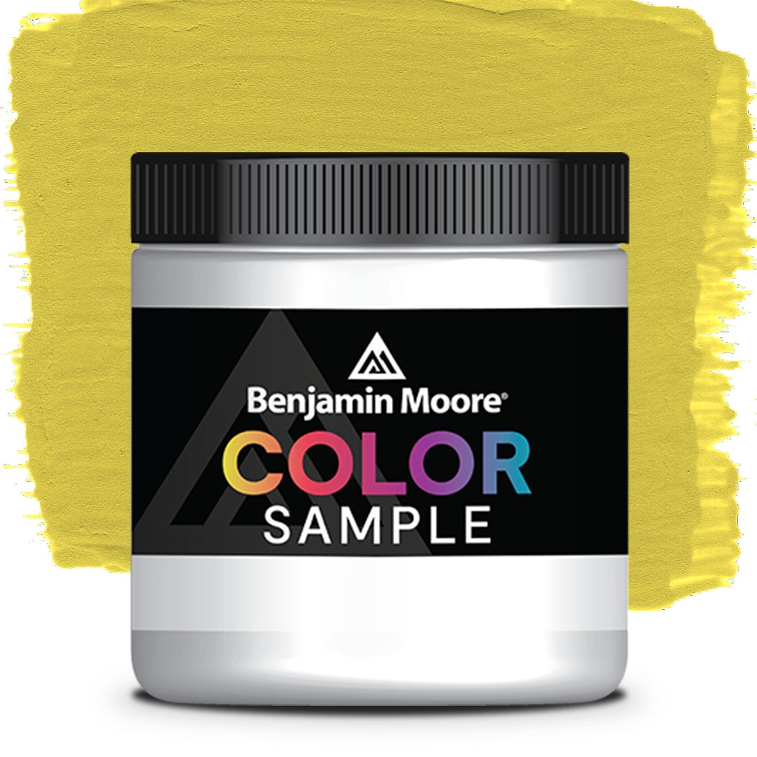 COLOR SAMPLE 371