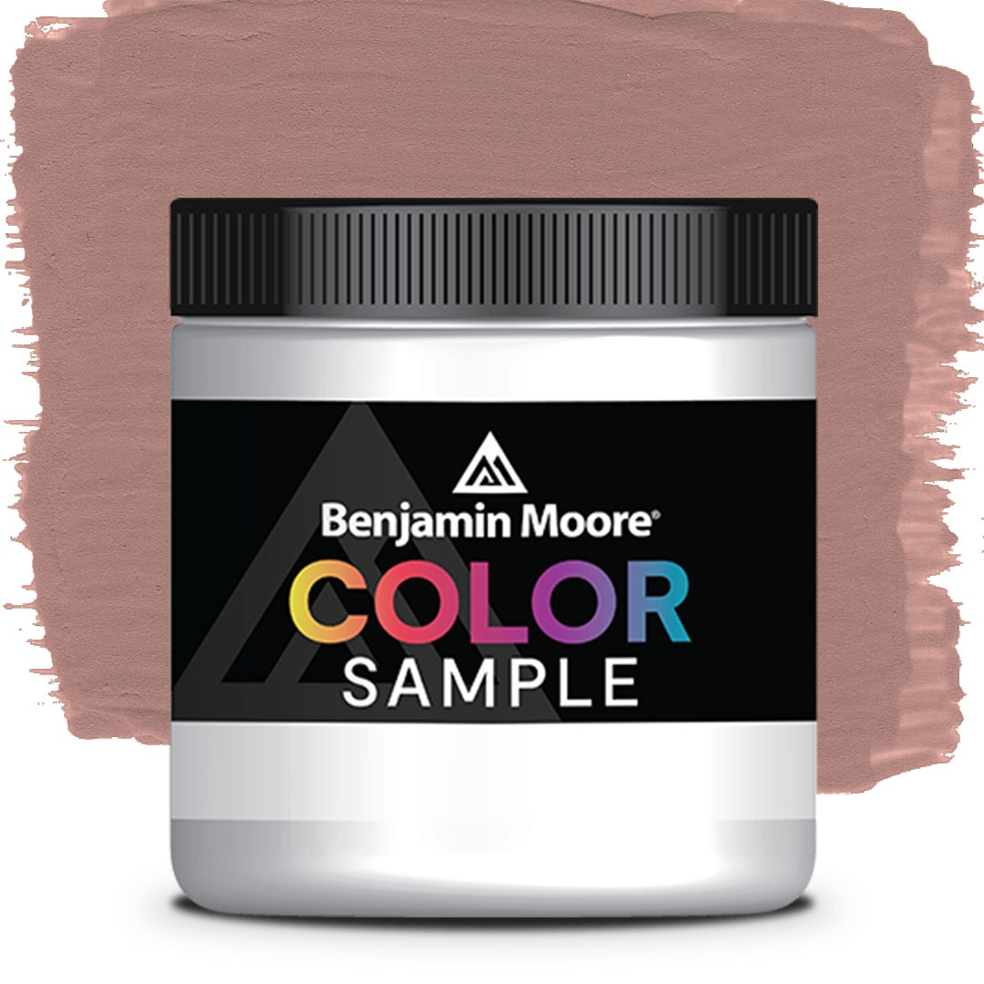 Benjamin Moore® Color Sample 8 oz. Brown Teepee 2102-40 | Benjamin
