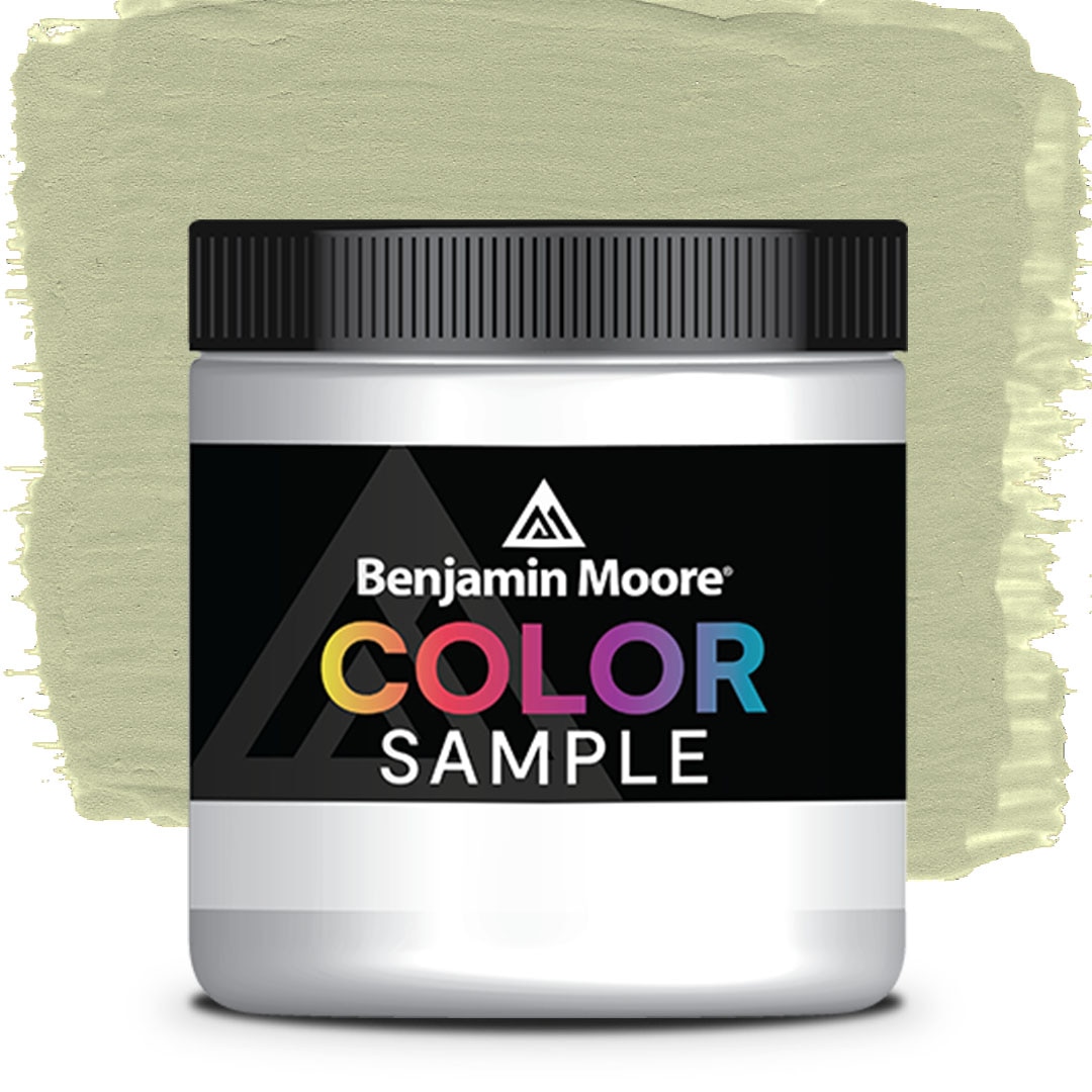 COLOR SAMPLE CW-485