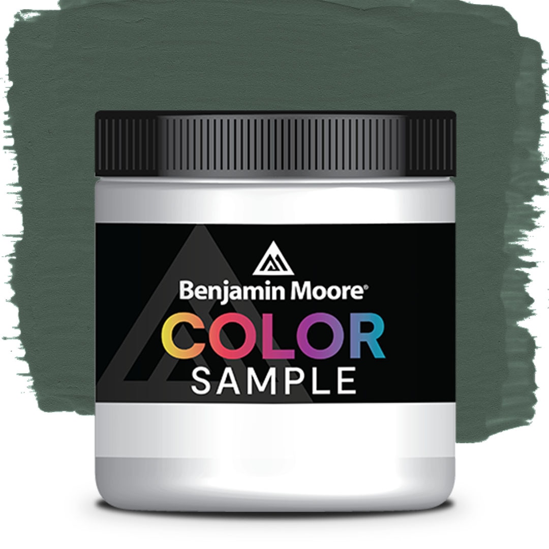 COLOR SAMPLE 707