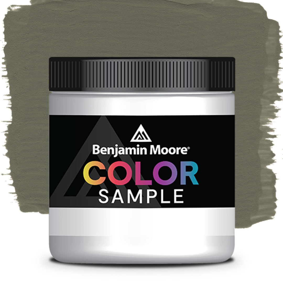 COLOR SAMPLE 1561