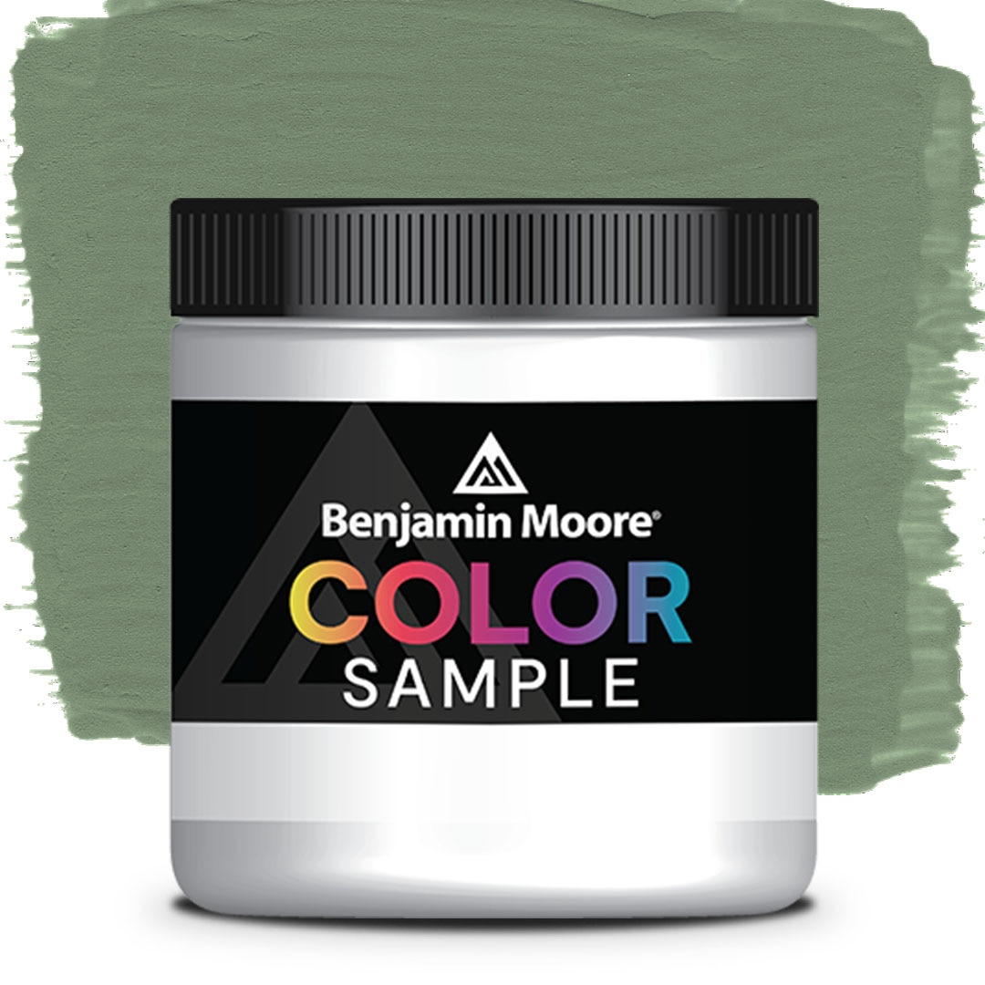 COLOR SAMPLE 454