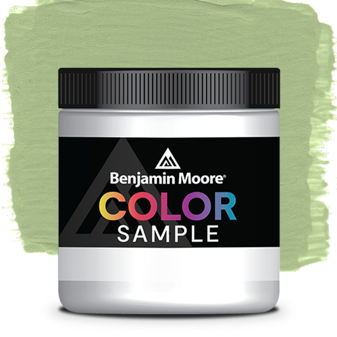 COLOR SAMPLE 431