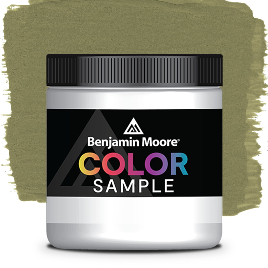 COLOR SAMPLE 496