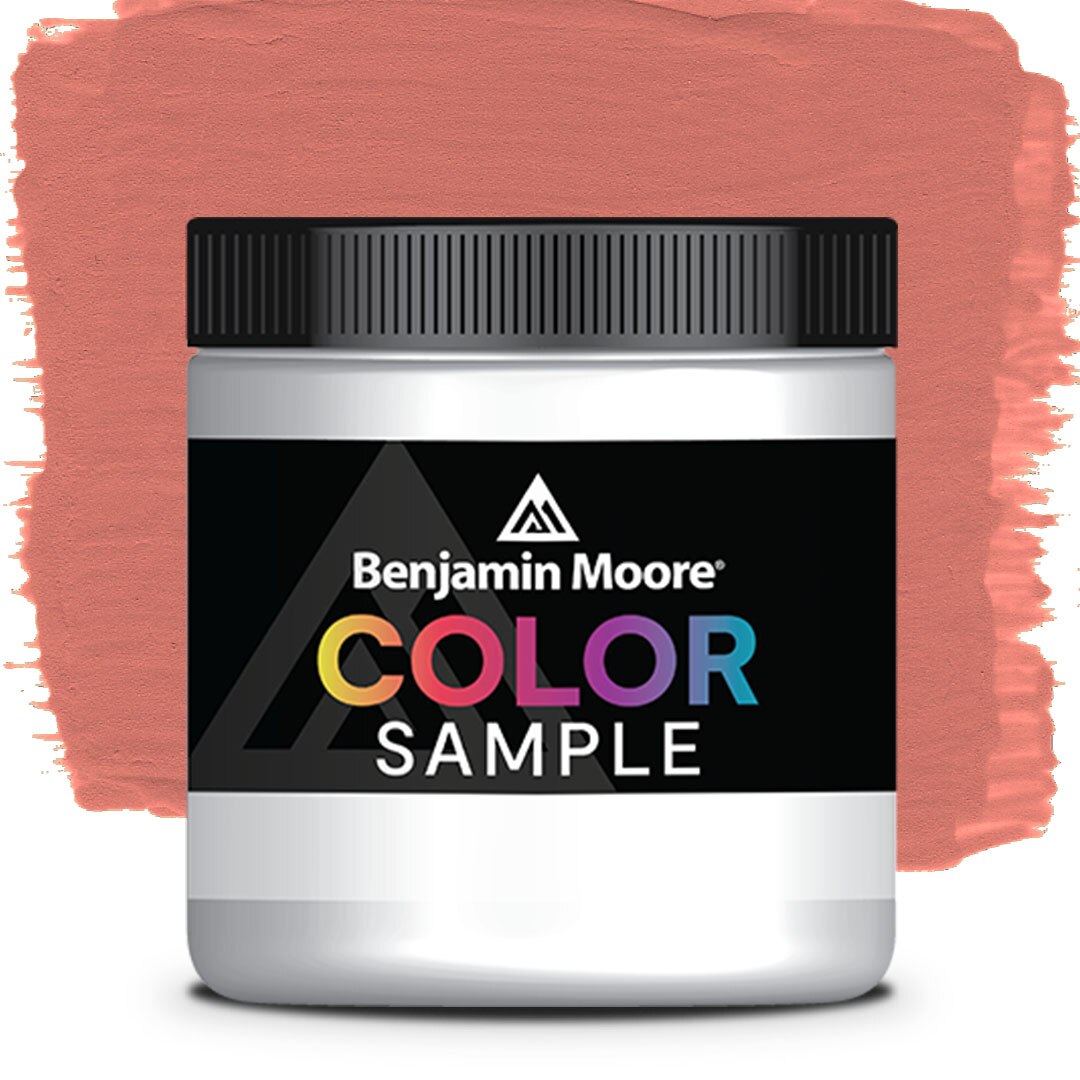 COLOR SAMPLE CW-305