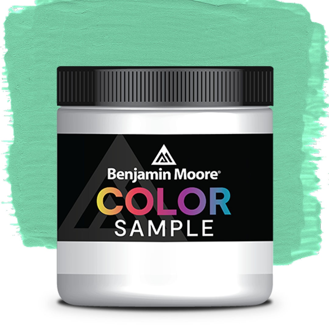 COLOR SAMPLE 579