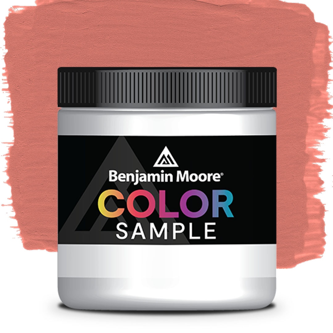 COLOR SAMPLE 1298