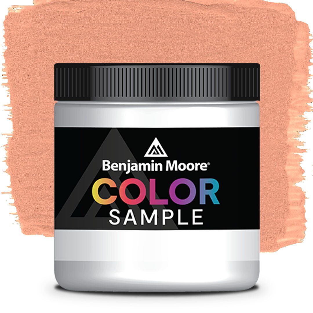 COLOR SAMPLE 2170-40