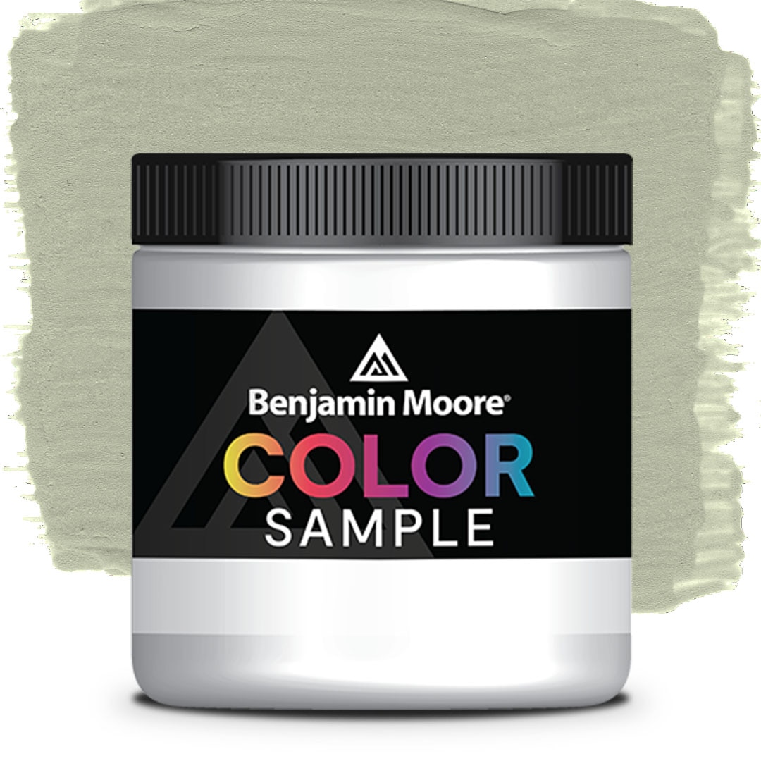 COLOR SAMPLE AF-455