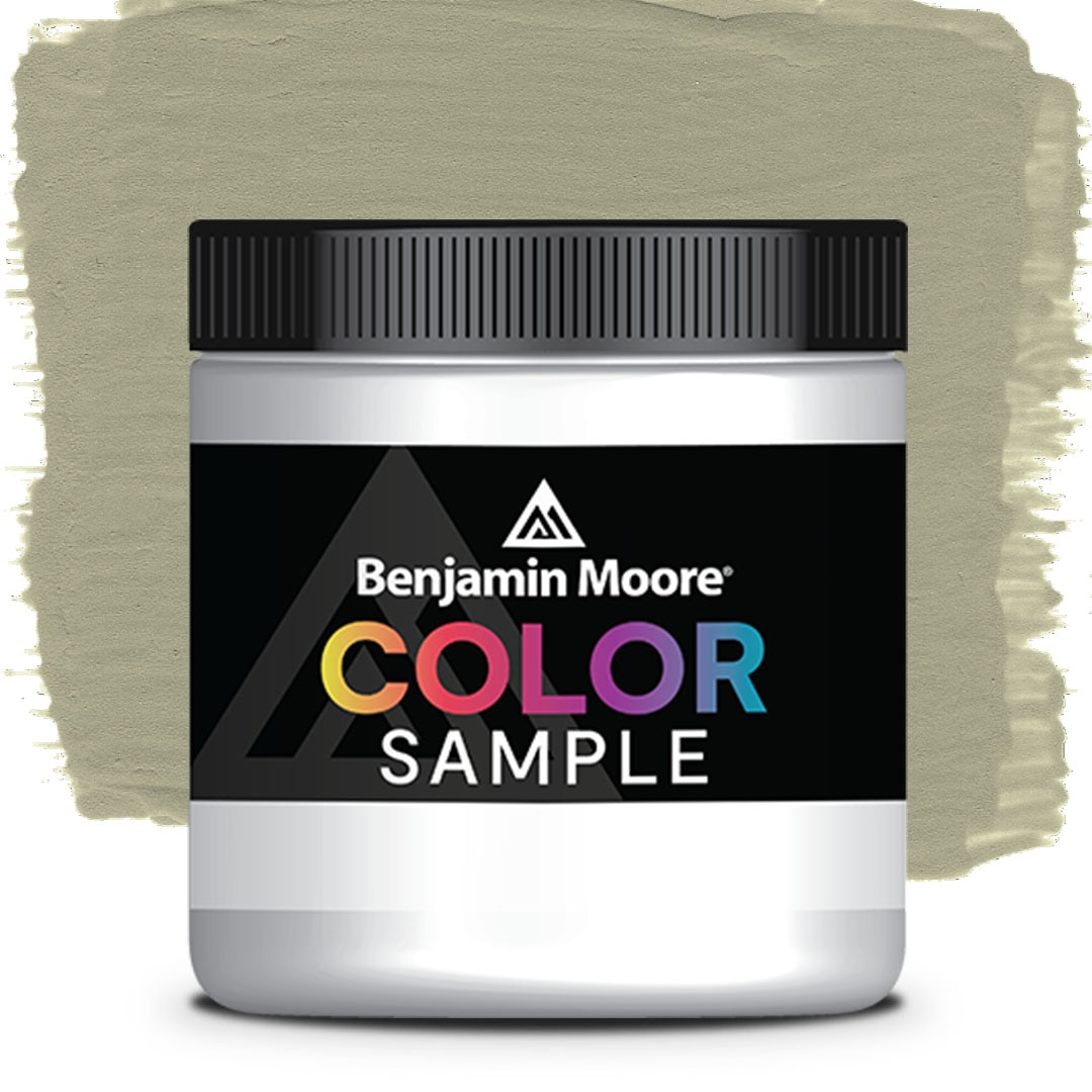 COLOR SAMPLE 509
