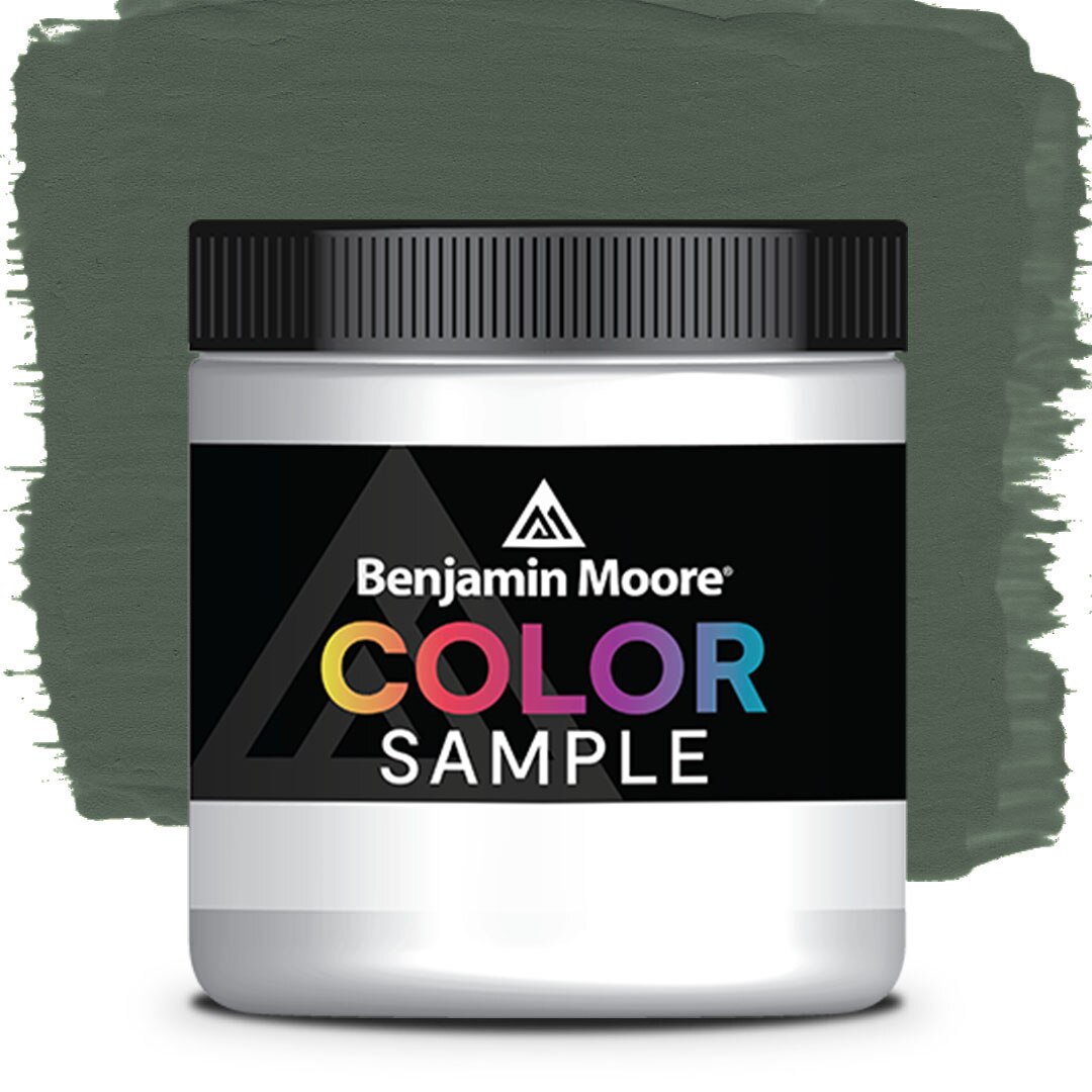 COLOR SAMPLE 448