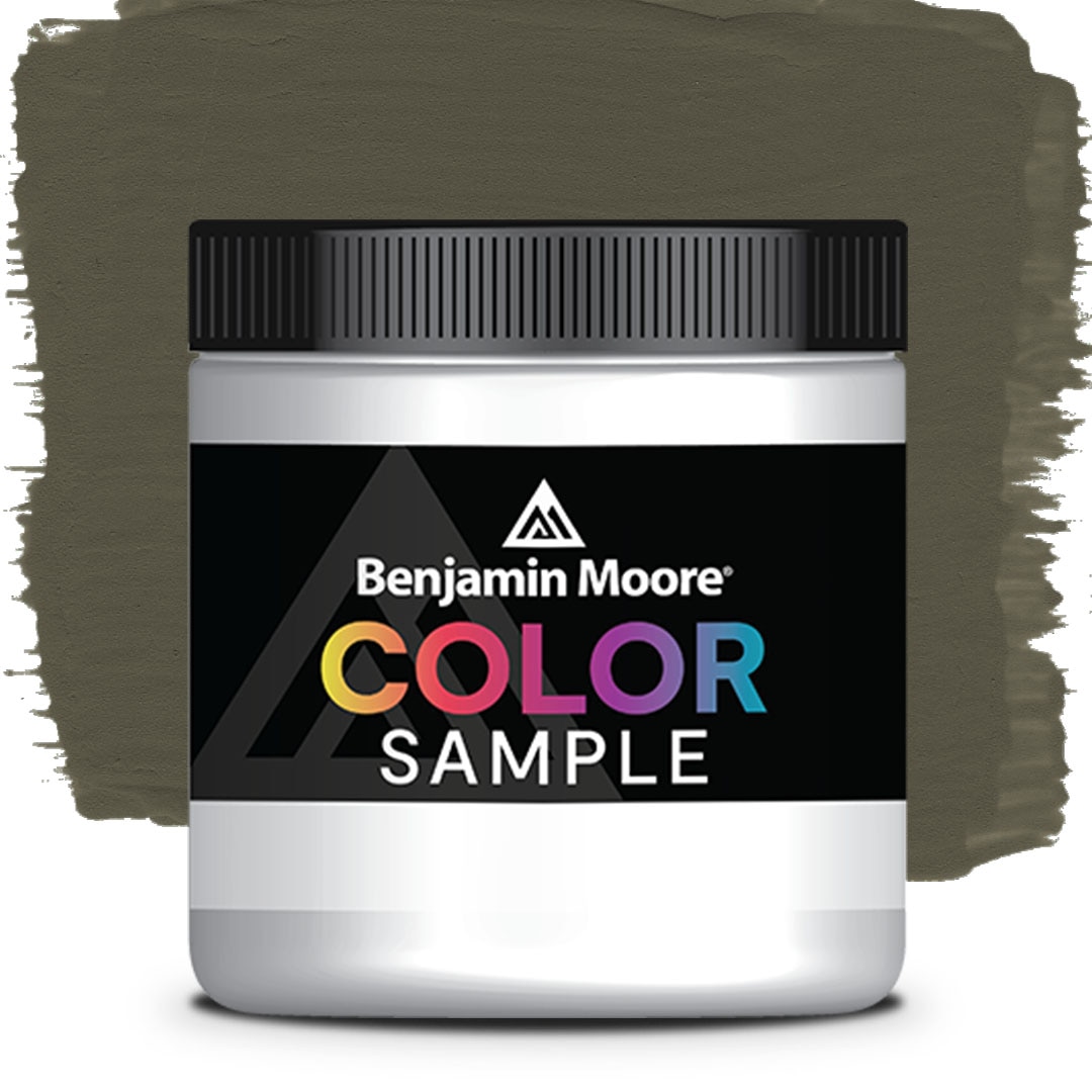 COLOR SAMPLE 2139-20