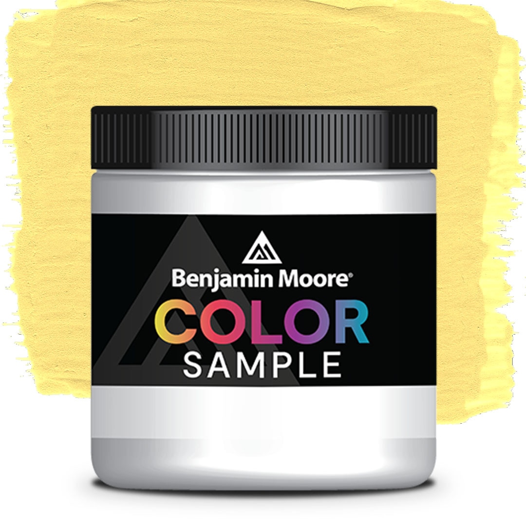 COLOR SAMPLE 319