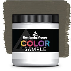 COLOR SAMPLE 1491