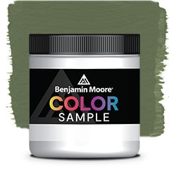 COLOR SAMPLE 441