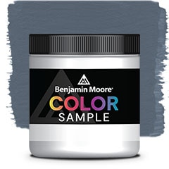 COLOR SAMPLE CSP-600