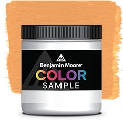 COLOR SAMPLE 125