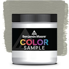COLOR SAMPLE 1559