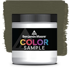 COLOR SAMPLE 2141-10