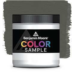 COLOR SAMPLE 1484