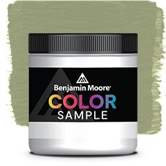 COLOR SAMPLE AF-445